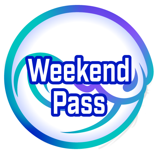 Three Day Weekend Pass - Mailed